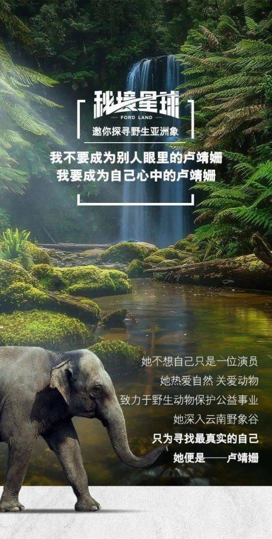 天天三国